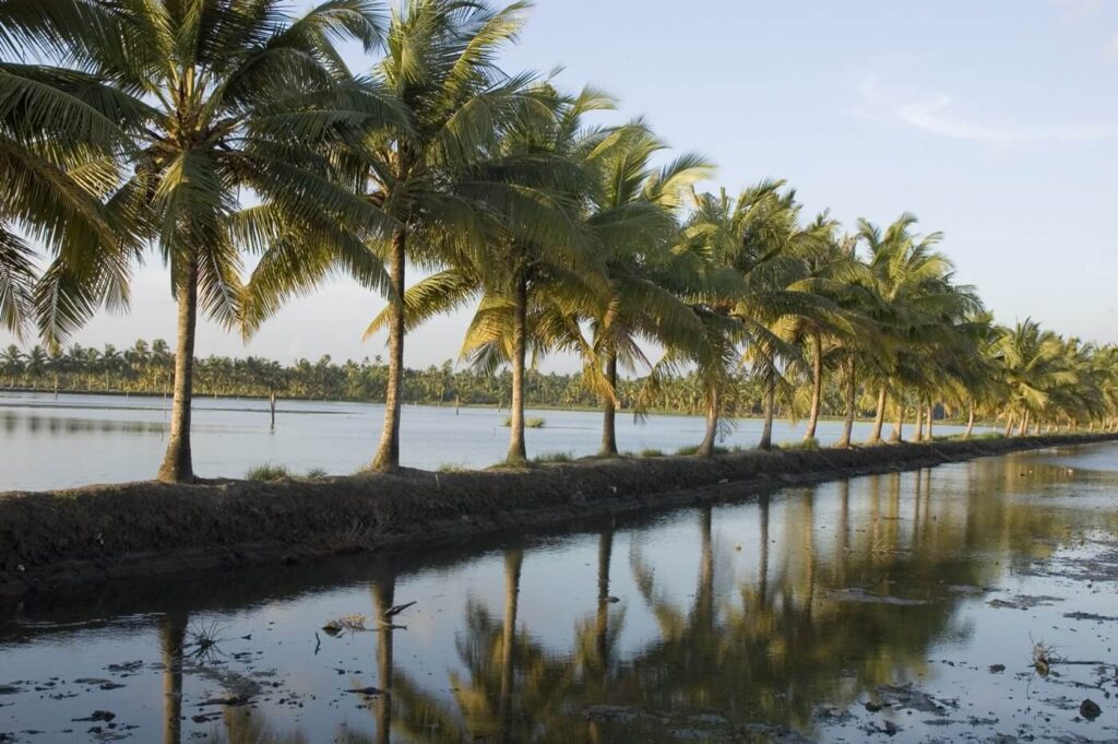 backwater_stretches_ernakulam_345