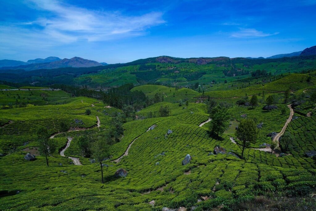 munnar_gap_road_995